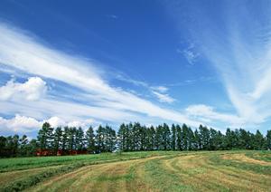 流山市にあるあさひ葬祭について