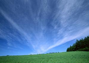静岡県菊川市の信頼と実績の葬儀場【富士葬祭 菊川】?安心・高品質な家族葬から一般葬までのトータルサポート