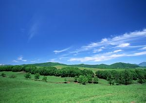静岡県藤枝市に新設された家族葬のタクセル高柳：低価格で安心の家族葬専門斎場