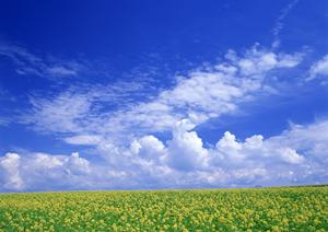 静岡県浜松市に新設された家族葬のタクセル葵西：低価格と多様な宗派対応の安心斎場