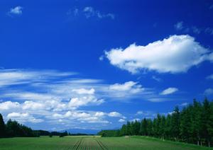事前に契約をすることができる永代供養