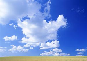 埼玉県川越市の葬儀会社について