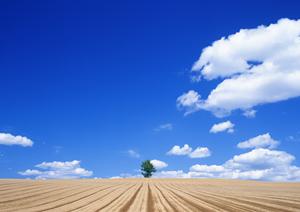 静岡県焼津市の安心・低価格な家族葬専用斎場｜家族葬のタクセル焼津の詳細と特徴