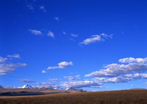 仏壇供養やオーダーメイド注文が特徴
