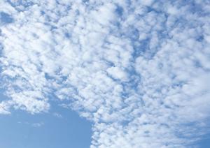 シオタニのサポートで万全の終活