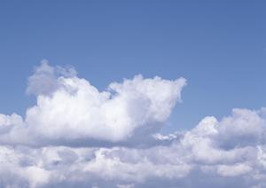 台東区浅草にある貴重な23区永代供養墓