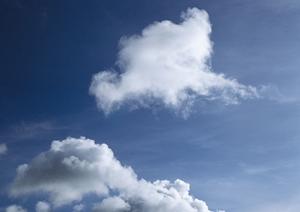 さいたま市で選ばれる家族葬のポイントと費用を徹底解説