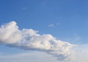 浅草浄苑の魅力と安心の理由-永代供養施設を徹底解説