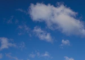 浅草のお墓はリーズナブルでおすすめ