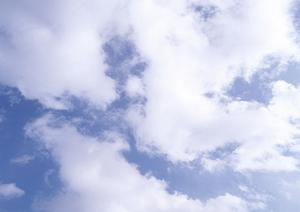 茨城県筑西市の信頼の葬儀場【さがみ典礼 筑西ホール】：総合的な特徴と便利なサービス詳細解説