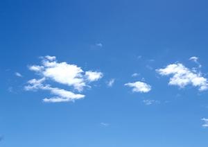 静岡県焼津市の家族葬専門斎場「家族葬のタクセル西焼津」：安心の低価格と充実したサービスを提供