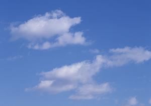 静岡県浜松市中央区の家族葬専門斎場｜安心価格と完全貸切でゆったりとしたお別れを