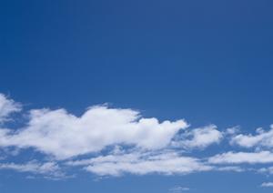 お金をかけずに自然に還る遺骨処分