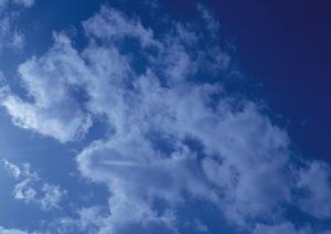 静岡市清水区の家族葬・葬儀場【富士葬祭 清水有東坂】の特徴とサービス内容の詳細解説