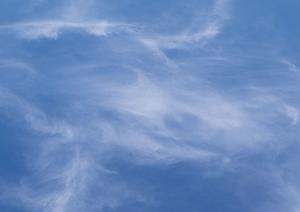 403 Forbiddenエラーの原因と対処法：アクセス制限を解決するための完全ガイド