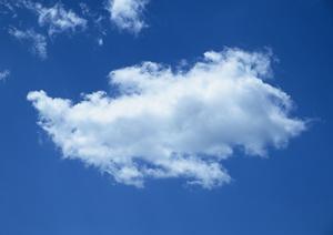 ペットの供養もできるようになっている寺