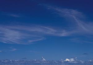 シンプルな葬儀のプランを紹介するサイト