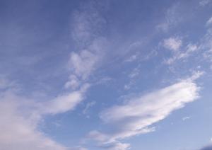 人気を集める杉並の葬儀場はどこか