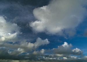 大阪で墓地を作りたいと思っているなら