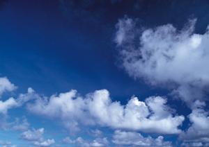 上質な葬儀を執り行ってくれます