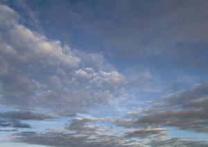 家族葬を稲沢市でご検討なら康勝寺