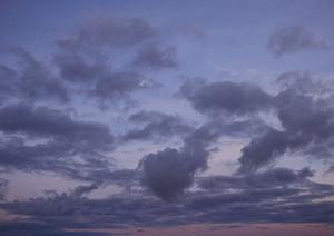 鶴川駅前総合斎場 – 町田市における安心の葬儀サービス