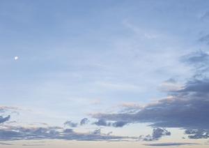 宮城県で樹木葬に関心のある方へ